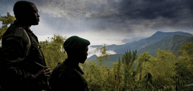 virunga.png