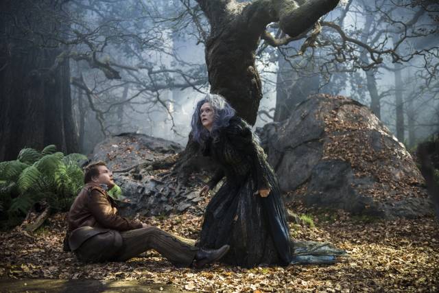 into-the-woods.jpg