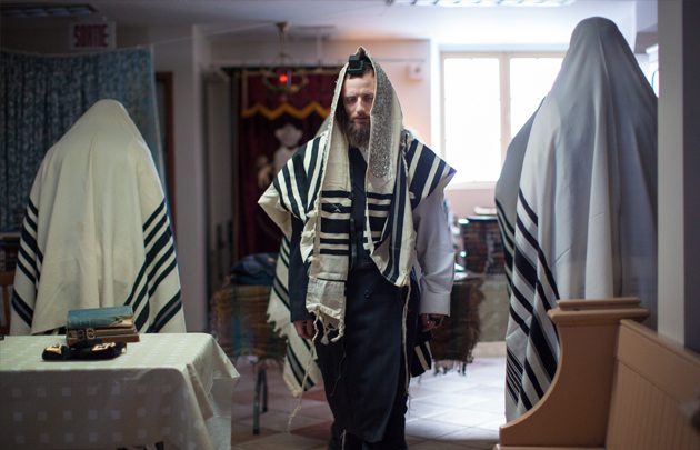 luzer-in-felix.jpg