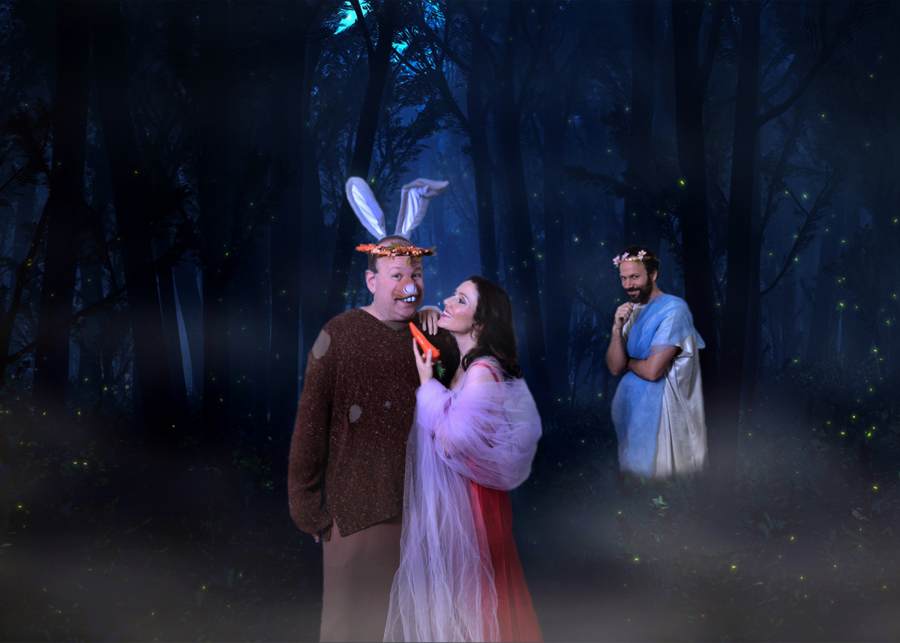 A midsummer night s dream. 1 A Midsummer Night s Dream. Hermia Midsummer. Сон в летнюю ночь мультфильм.